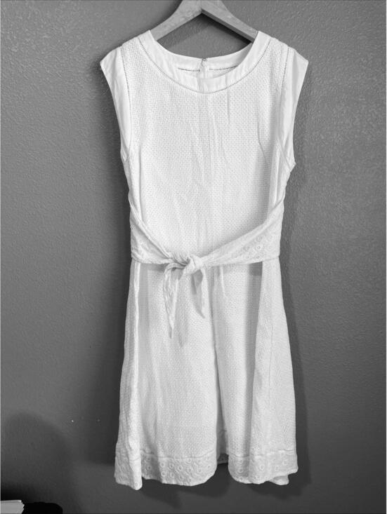 CAbi Dresses & Skirts - CAbi Lizzie Dress Size 8 Eyelet Lace Tie Front Sleeveless White Knee Length READ